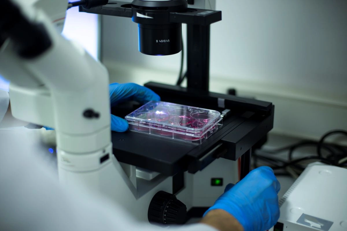 Darinių_ištyrimas_ir_histologija dermatologinis ištyrimas ir histologija